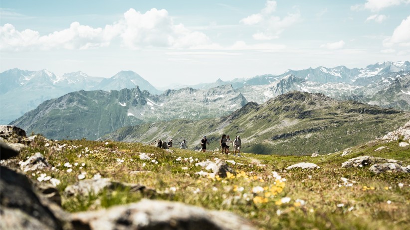 A group of people hiking the Alps during the summer.